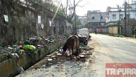 Huge garbage problem looms large over city: AMC yet to take any initiative